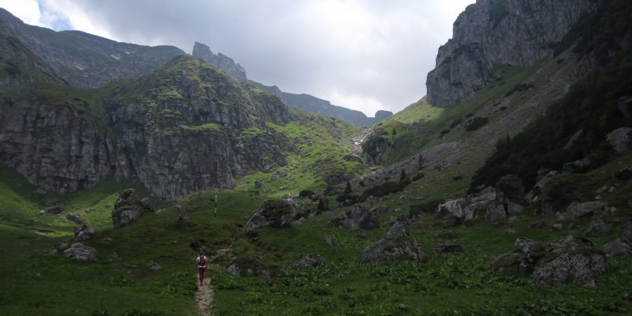 Plimbare – alergare in Bucegi, la deal spre hornuri