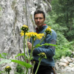 Cheile Folea: floarea, omul si natura
