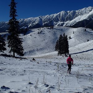 Alergare de iarna in Crai, spre La Table