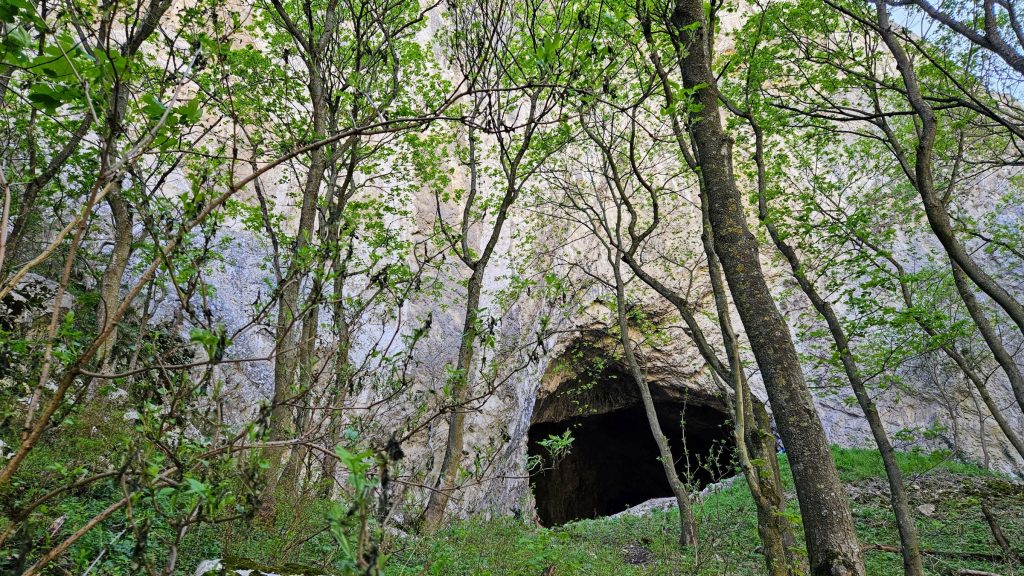 Cheile Turzii, Pestera Ungureasca