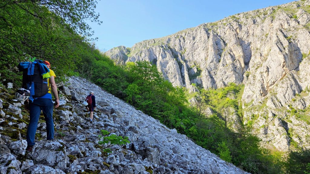 Limba de bolovăniș spre Peștera Ungurească