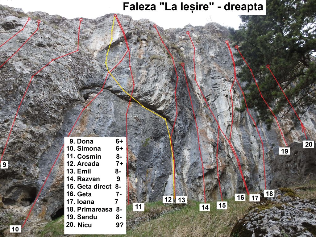 Top faleza La Iesire, Baia de Fier. Sursa: Cristi Iacob