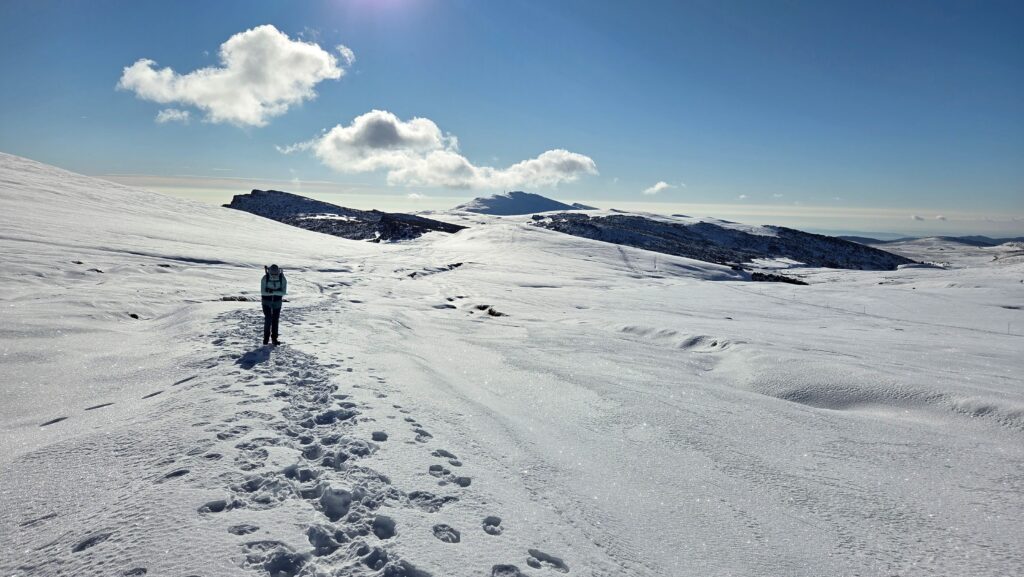 Pe platou cu Piatra Arsă pe fundal